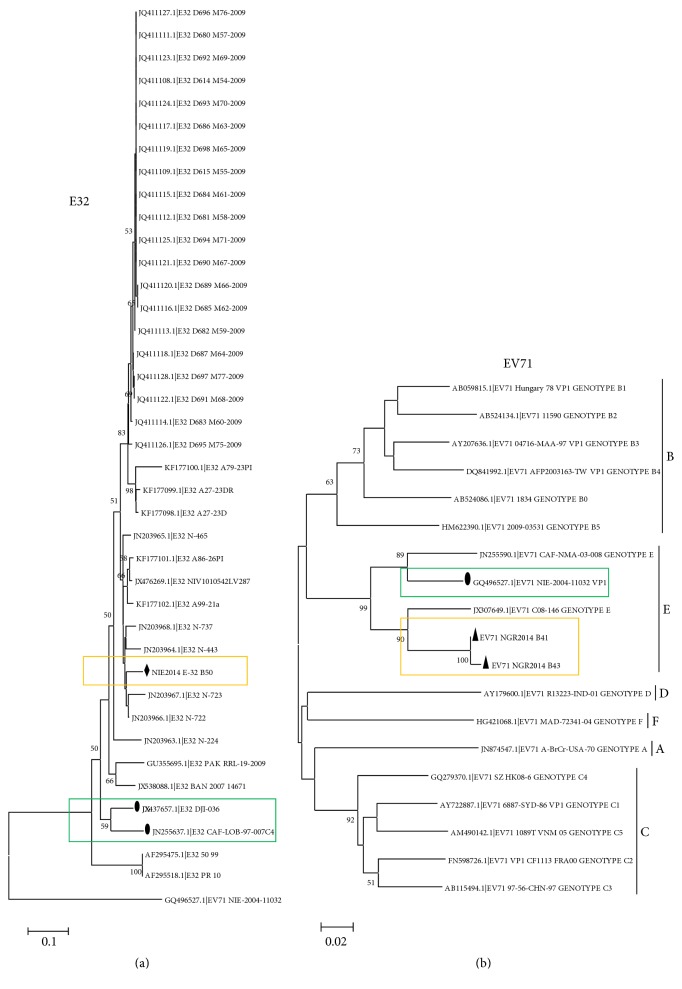 Direct Detection and Identification of Enteroviruses from Faeces of Healthy Nigerian Children Using a Cell-Culture Independent RT-Seminested PCR Assay.