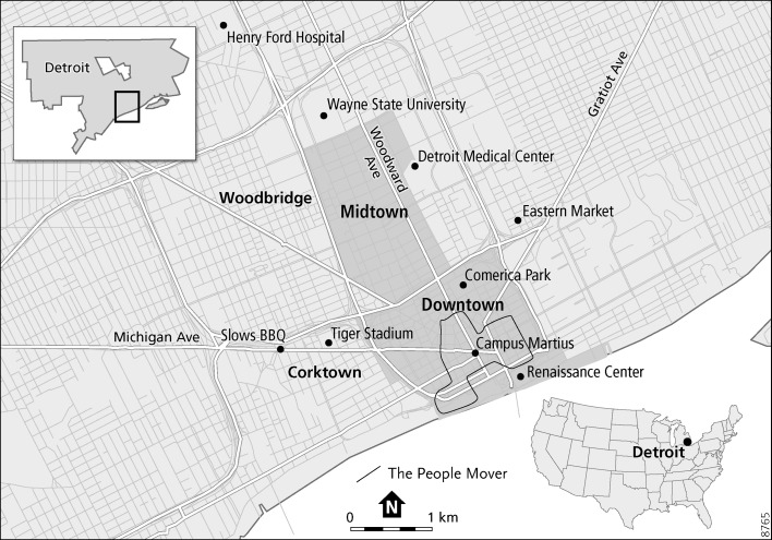 Building an urban 'renaissance': fragmented services and the production of inequality in Greater Downtown Detroit.