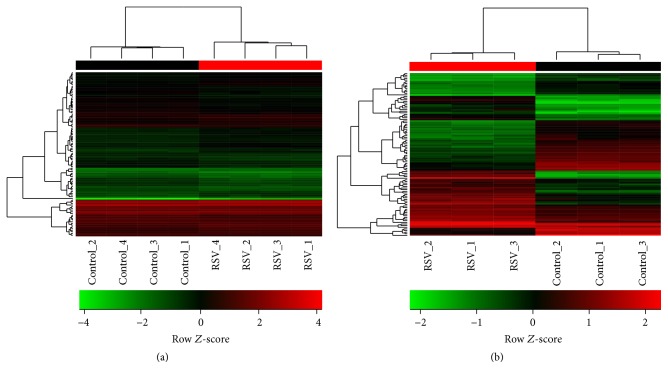 A Cross-Study Biomarker Signature of Human Bronchial Epithelial Cells Infected with Respiratory Syncytial Virus.