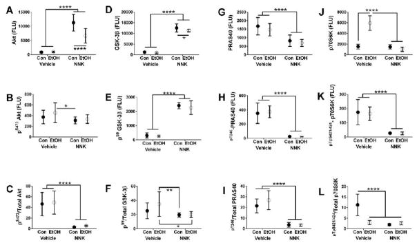 Differential Effects of 3rd Trimester-Equivalent Binge Ethanol and Tobacco-Specific Nitrosamine Ketone Exposures on Brain Insulin Signaling in Adolescence.