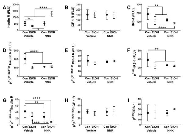 Differential Effects of 3rd Trimester-Equivalent Binge Ethanol and Tobacco-Specific Nitrosamine Ketone Exposures on Brain Insulin Signaling in Adolescence.