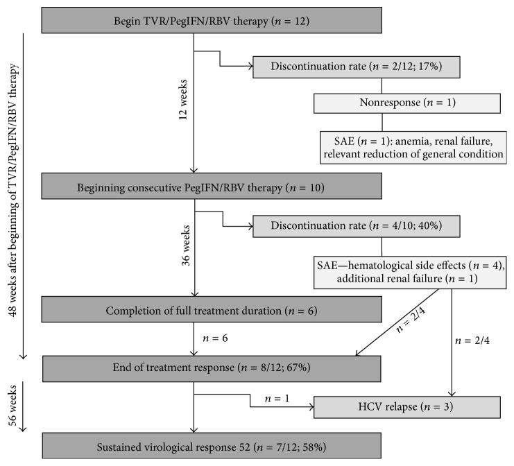 Two-Year Follow-Up Analysis of Telaprevir-Based Antiviral Triple Therapy for HCV Recurrence in Genotype 1 Infected Liver Graft Recipients as a First Step towards Modern HCV Therapy.