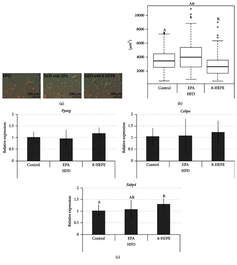 8-Hydroxyeicosapentaenoic Acid Decreases Plasma and Hepatic Triglycerides via Activation of Peroxisome Proliferator-Activated Receptor Alpha in High-Fat Diet-Induced Obese Mice.