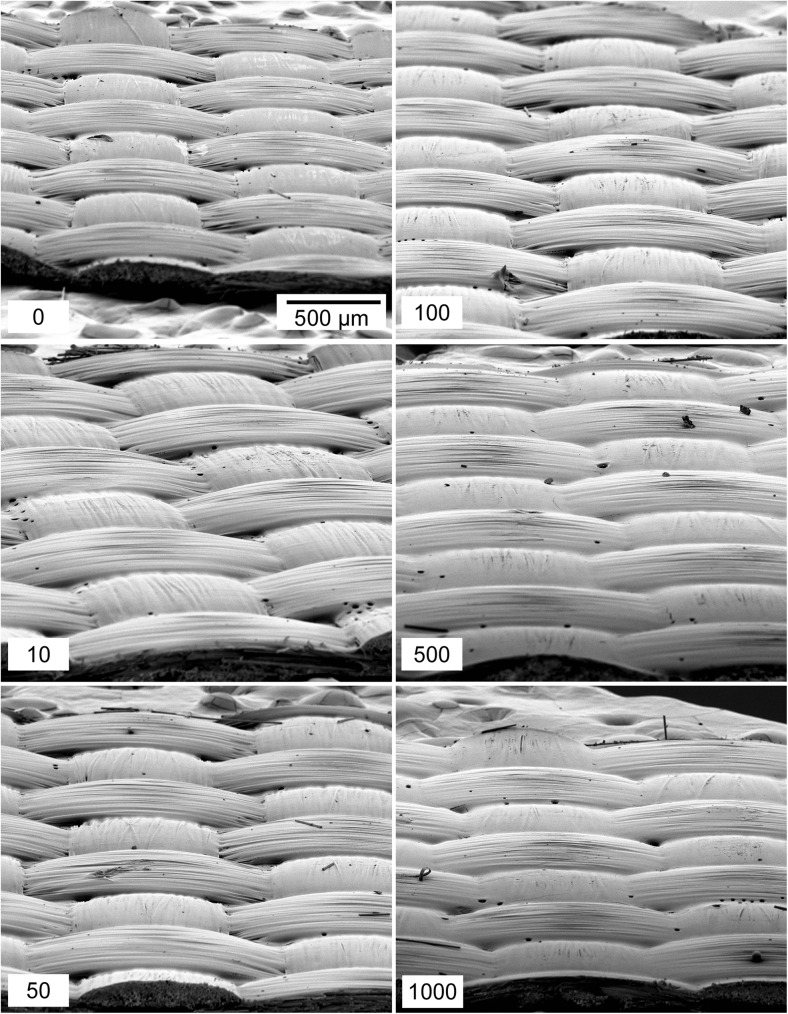 The effect of reusing wipes for particle collection.