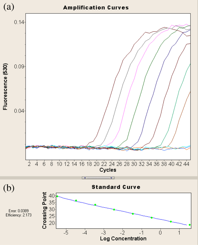 Incidence and detection of beak and feather disease virus in psittacine birds in the UAE