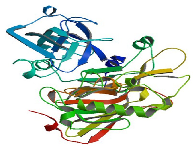 Abstract Image