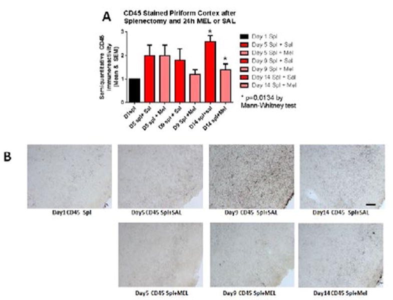 The Cox-2 Inhibitor Meloxicam Ameliorates Neuroinflammation and Depressive Behavior in Adult Mice after Splenectomy.