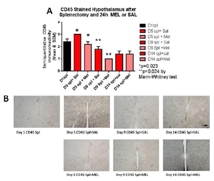 The Cox-2 Inhibitor Meloxicam Ameliorates Neuroinflammation and Depressive Behavior in Adult Mice after Splenectomy.