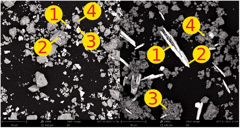 Deconvolution of the particle size distribution of ProRoot MTA and MTA Angelus.