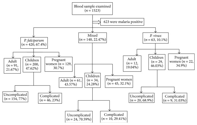 Severe Malaria Associated with Plasmodium falciparum and P. vivax among Children in Pawe Hospital, Northwest Ethiopia.