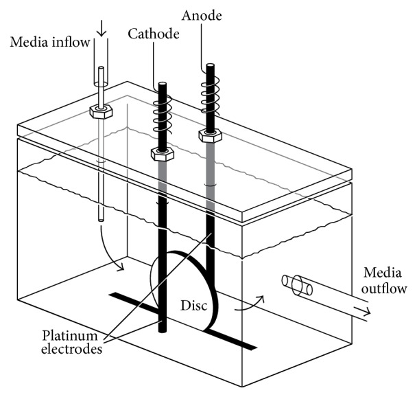 Direct Electrical Current Reduces Bacterial and Yeast Biofilm Formation.