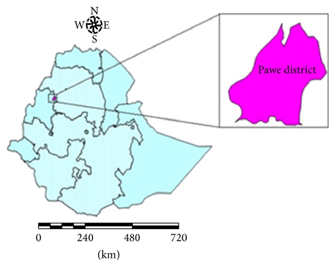 Severe Malaria Associated with Plasmodium falciparum and P. vivax among Children in Pawe Hospital, Northwest Ethiopia.