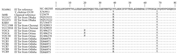 Emergence of Tetracycline Resistant Vibrio cholerae O1 Biotype El Tor Serotype Ogawa with Classical ctxB Gene from a Cholera Outbreak in Odisha, Eastern India.
