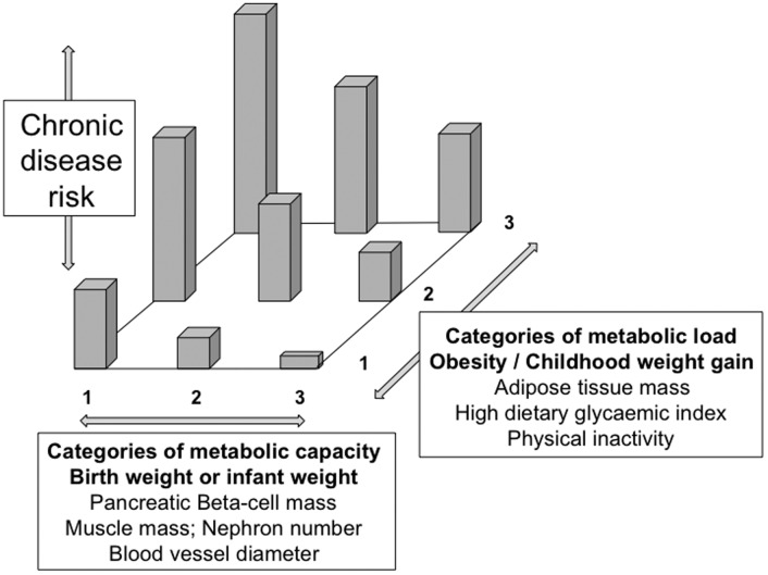 Body composition and the monitoring of non-communicable chronic disease risk.