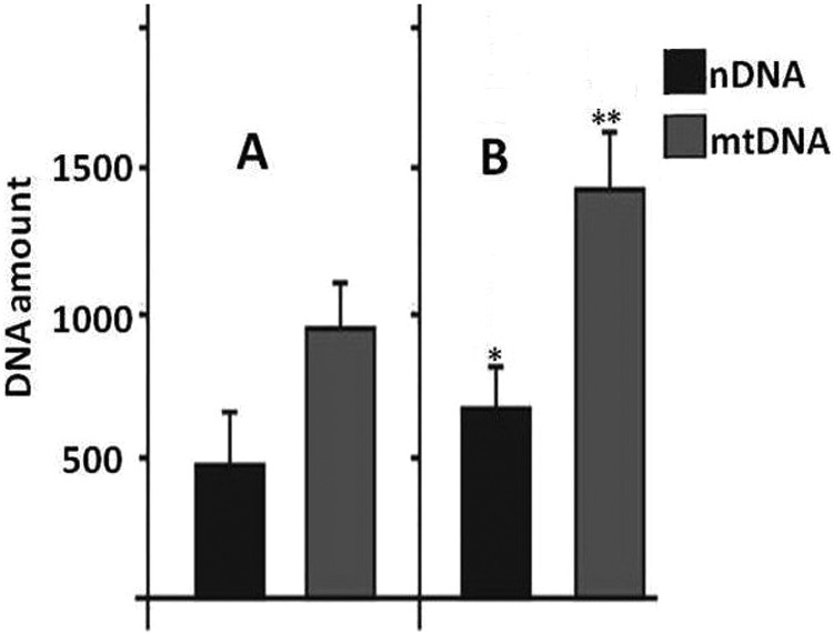 X-rays and metformin cause increased urinary excretion of cell-free nuclear and mitochondrial DNA in aged rats.