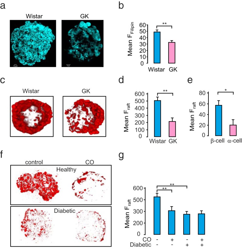 Elevated Basal Insulin Secretion in Type 2 Diabetes Caused by Reduced Plasma Membrane Cholesterol.