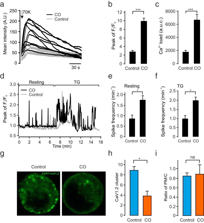 Elevated Basal Insulin Secretion in Type 2 Diabetes Caused by Reduced Plasma Membrane Cholesterol.