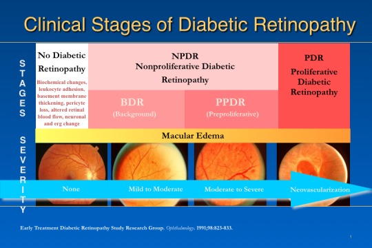 Report From the NEI/FDA Diabetic Retinopathy Clinical Trial Design and Endpoints Workshop.