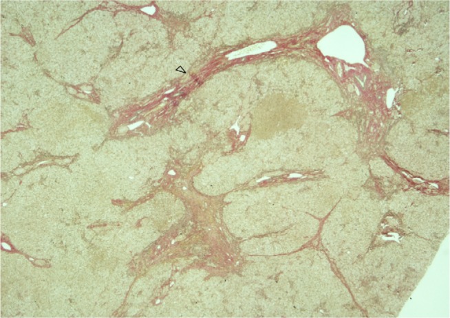 Abstract Image