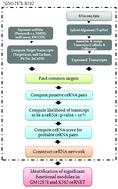 Deciphering the cross-talking of human competitive endogenous RNAs in K562 chronic myelogenous leukemia cell line†