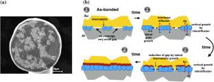 Intermetallic growth kinetics of 2N gold wire ball bonds on aluminium bond pads annealed at 175 °C