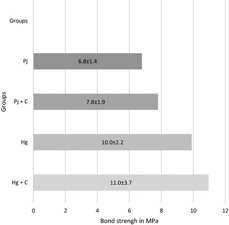 Effect of lubricant substances on the bond strength of relined posts to root canals