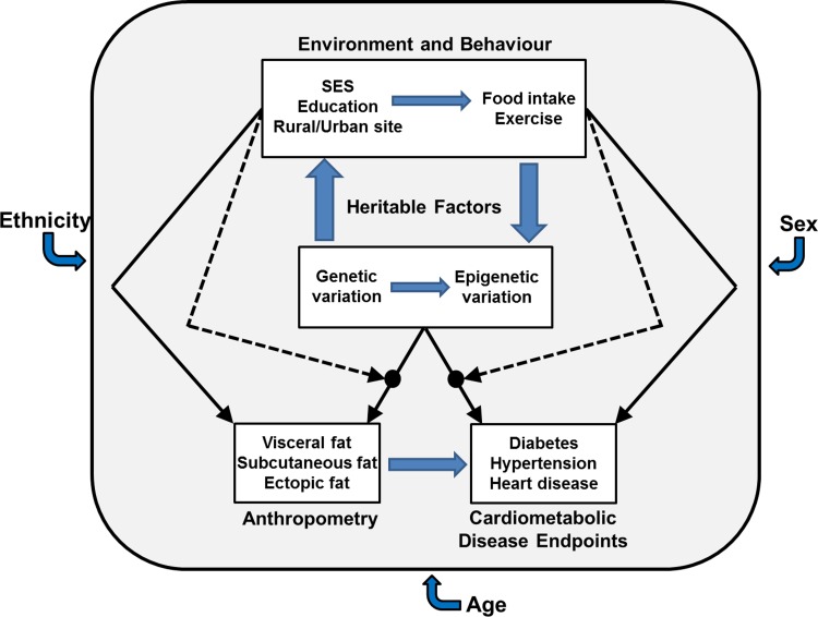 H3Africa AWI-Gen Collaborative Centre: a resource to study the interplay between genomic and environmental risk factors for cardiometabolic diseases in four sub-Saharan African countries.