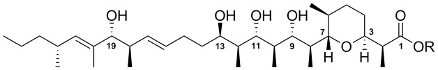 Zincophorin - biosynthesis in Streptomyces griseus and antibiotic properties.