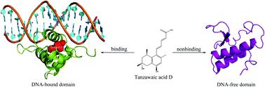 Integrated discovery of FOXO1–DNA stabilizers from marine natural products to restore chemosensitivity to anti-EGFR-based therapy for metastatic lung cancer