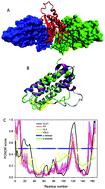 Erythropoietin and co.: intrinsic structure and functional disorder†
