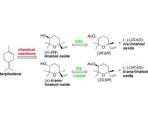 Lipase mediated resolution of cis- and trans-linalool oxide (pyranoid)