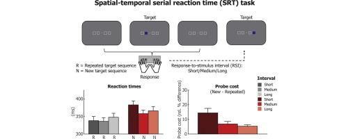 Early behavioural facilitation by temporal expectations in complex visual-motor sequences