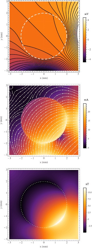 Analytic Modeling of Neural Tissue: I. A Spherical Bidomain.