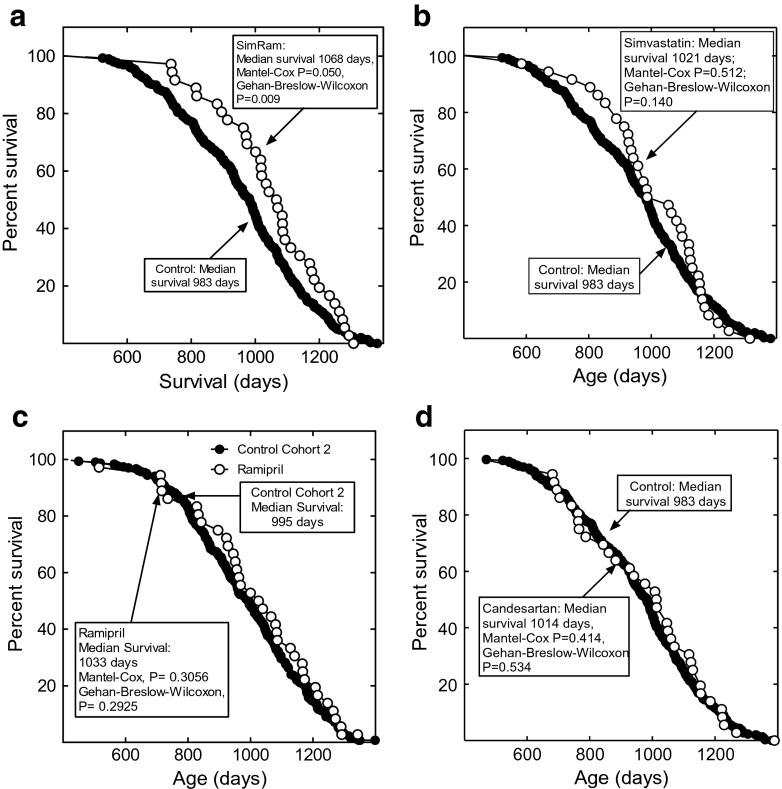 Combined statin and angiotensin-converting enzyme (ACE) inhibitor treatment increases the lifespan of long-lived F1 male mice.