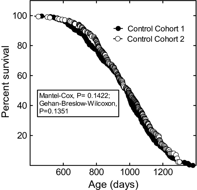 Combined statin and angiotensin-converting enzyme (ACE) inhibitor treatment increases the lifespan of long-lived F1 male mice.