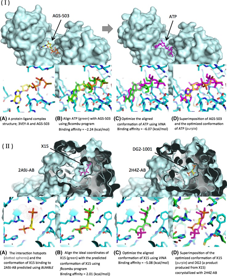 NLDB: a database for 3D protein-ligand interactions in enzymatic reactions.