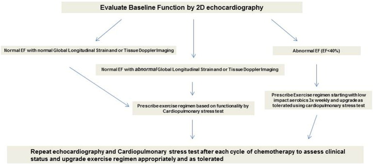 Heart failure in chemotherapy-related cardiomyopathy: Can exercise make a difference?