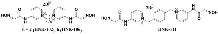 Protection studies of new <i>bis</i> quaternary 2-(hydroxyimino)-<i>N</i>-(pyridin-3yl) acetamide derivatives (HNK-series) oximes against acute poisoning by dichlorvos (DDVP) in Swiss albino mice.