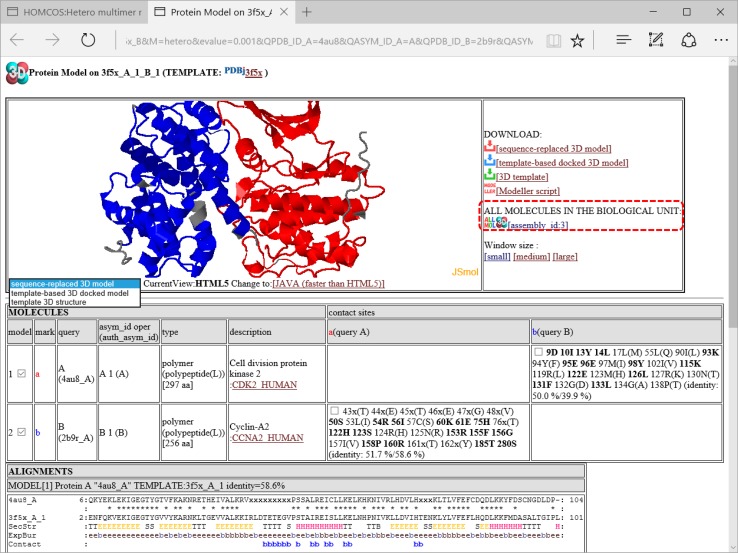 HOMCOS: an updated server to search and model complex 3D structures.