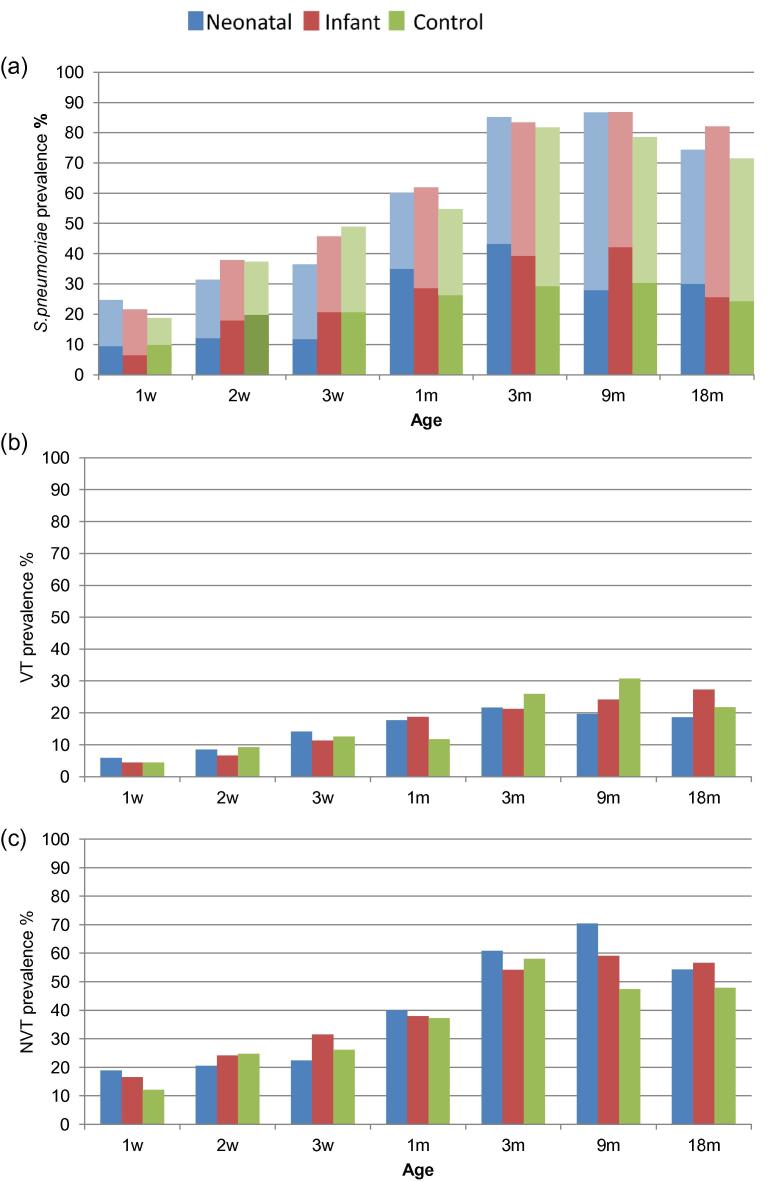 Limited impact of neonatal or early infant schedules of 7-valent pneumococcal conjugate vaccination on nasopharyngeal carriage of Streptococcus pneumoniae in Papua New Guinean children: A randomized controlled trial