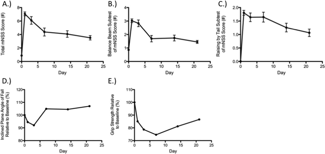 The role for infarct volume as a surrogate measure of functional outcome following ischemic stroke.