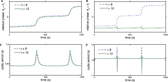 Entrainment Ranges for Chains of Forced Neural and Phase Oscillators.