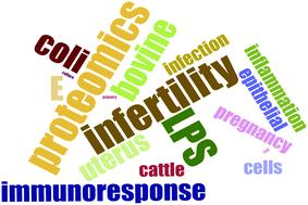 Changes in protein expression profiles in bovine endometrial epithelial cells exposed to E. coli LPS challenge