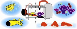 Applications of 3D printing technologies in oceanography