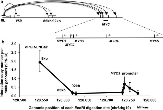 3C-digital PCR for quantification of chromatin interactions