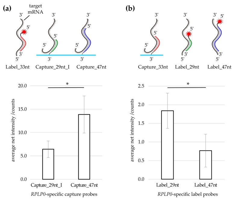 A Double-Hybridization Approach for the Transcription- and Amplification-Free Detection of Specific mRNA on a Microarray.