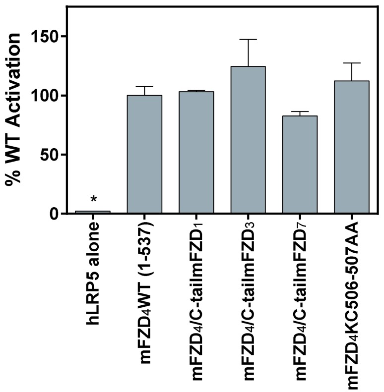 Frizzled-4 C-terminus Distal to KTXXXW Motif is Essential for Normal Dishevelled Recruitment and Norrin-stimulated Activation of Lef/Tcf-dependent Transcriptional Activation.