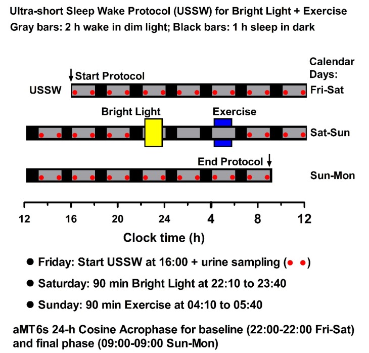 Circadian Phase-Shifting Effects of Bright Light, Exercise, and Bright Light + Exercise.