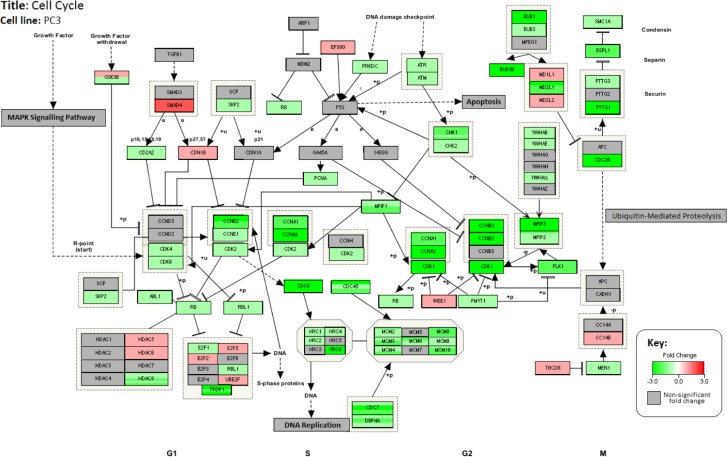 Identification of Potential Anticancer Activities of Novel Ganoderma lucidum Extracts Using Gene Expression and Pathway Network Analysis.