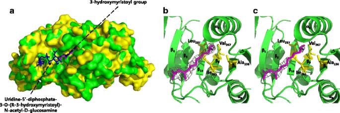 Crystal structure and functional implications of the tandem-type universal stress protein UspE from Escherichia coli